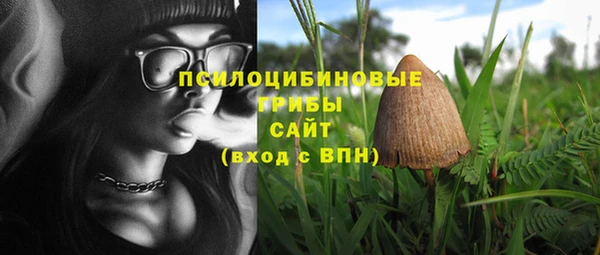 mdpv Лабытнанги