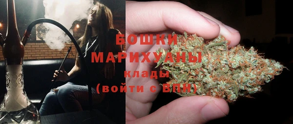 ПСИЛОЦИБИНОВЫЕ ГРИБЫ Лиски