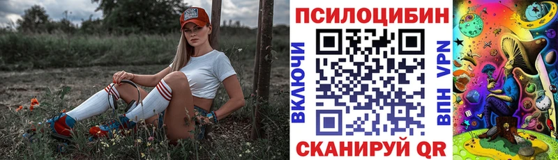 где купить наркоту  hydra ONION  Галлюциногенные грибы мухоморы  Куровское 